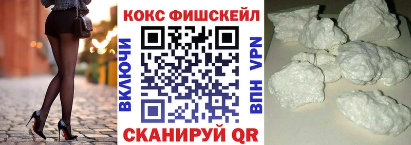 Cocaine FishScale  Купить  Боровичи 
