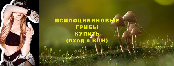тгк Кинешма