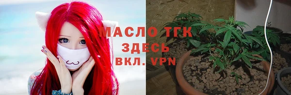 дживик Киренск