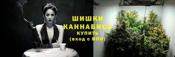 PSILOCYBIN Киреевск