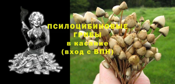 тгк Кинешма